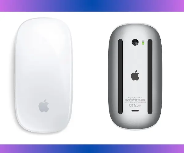 Magic Mouse 1