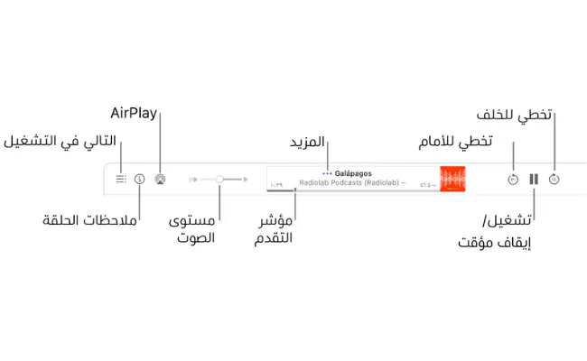 playback controls